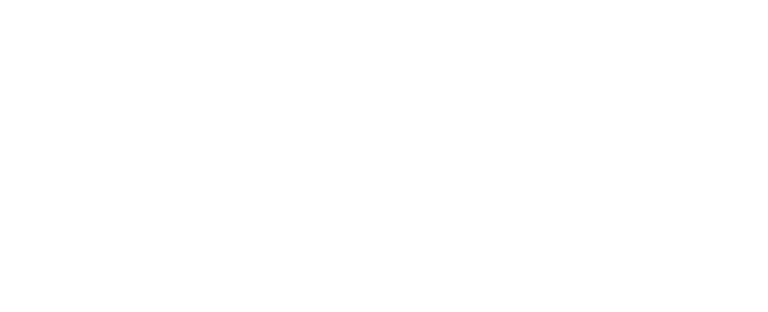 Physical Graffiti logo